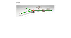 Desktop Screenshot of indica.com